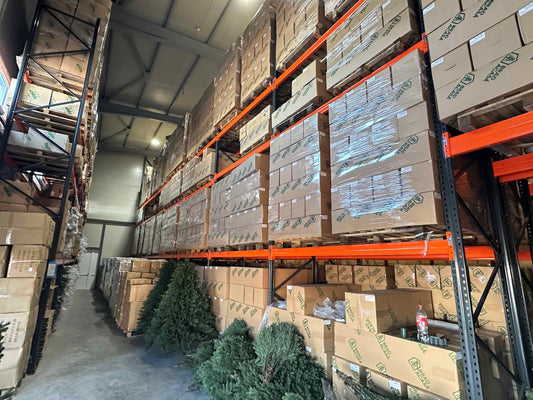 Проект по установке стеллажей для поддонов Diolsem SRL