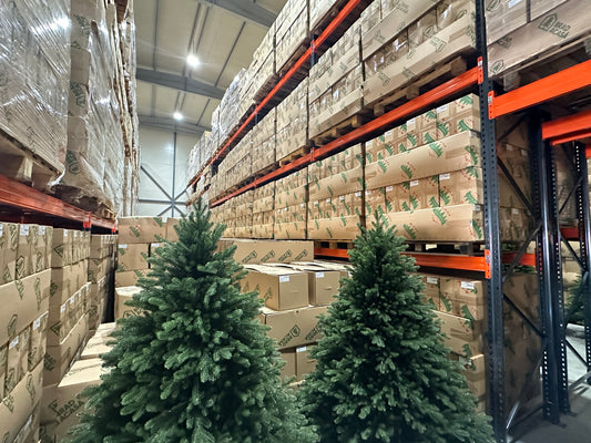 Проект по установке стеллажей для поддонов Diolsem SRL